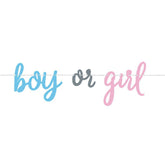 Gender Reveal Banner - The Party Room